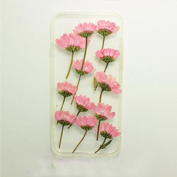 120pcs Pusėje Spaudžiamas Rožinė Džiovinti Daisy Gėlių Augalų Herbariumas Papuošalai iPhone Telefono dėklas Foto Rėmelis 