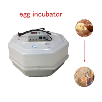 60 Kiaušinių, Automatinė Kiaušinių Inkubatorius Kiaušinių Krekingo Pastovi Temperatūra Inkubatoriuje Skaitmeninis Temperatūros Reguliatorius
