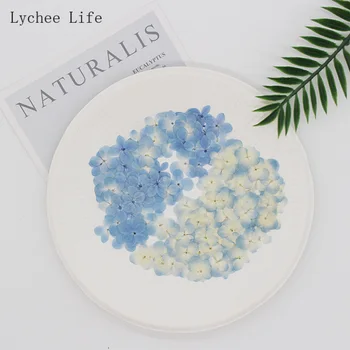 Ličiai Gyvenimo 60Pcs Dangus Mėlynas Hydrangea Pirminių Spalvų Sausų Gėlių Iškilumo Augalų Žiedų Nuotrauką Flores Orchidėja, Džiovintos Gėlės Sode