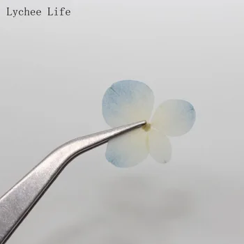 Ličiai Gyvenimo 60Pcs Dangus Mėlynas Hydrangea Pirminių Spalvų Sausų Gėlių Iškilumo Augalų Žiedų Nuotrauką Flores Orchidėja, Džiovintos Gėlės Sode Nuotrauka 2