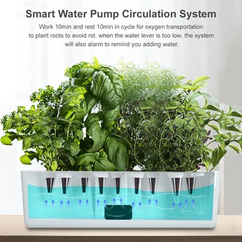Sodo Hydroponics Auginimo Sistema Patalpų Žolė Sodas Starteris Rinkinys Su Led Grow Light Smart Vandens Siurblys, skirtas Namų Gėlių Vazonus Nuotrauka 2