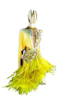 WHYNOT ŠOKIŲ Plunksnų Geltona Individualų lotynų Chacha Šokių Konkursas Suknelė Šalis Kostiumu Mergina ar Moteris, Greitas Nemokamas Pristatymas Nuotrauka 2